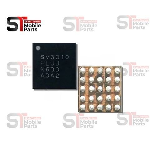 SM3010 LIGHT IC